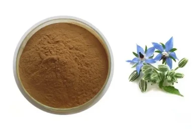 Borago Officinalis Extract 20: 1